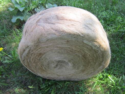 Пакля